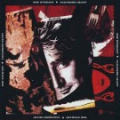 Rod Stewart – Vagabond Heart (EU91) thumbnail
