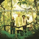 The Derek Trucks Band ‎– Joyful Noise (LTD) 2021 thumbnail