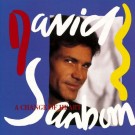 David Sanborn – A Change Of Heart (EU87) thumbnail