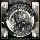 The Grateful Dead – American Beauty (LTD EDT. PICTURE DISC) 2020 thumbnail