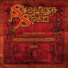 STEELEYE SPAN - LIVE AT THE RAINBOW THEATRE 1974 (2xlp) 2020 thumbnail