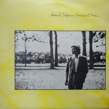 David Sylvian – Brilliant Trees (EU88)