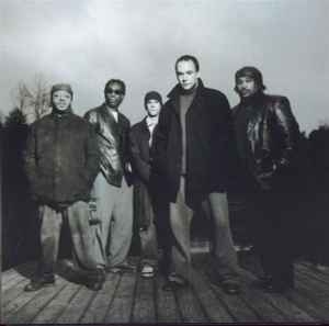 Dave Matthews Band – Everyday (CD)